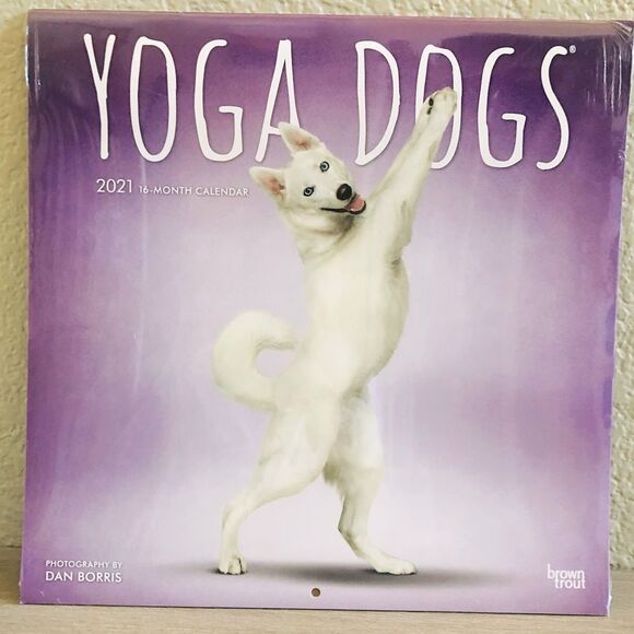 Yoga Dogs Posing Dog Wall Art Decor Calendar - Picture 1 of 2